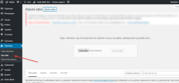 WordPress Eklenti Yükleme: Manuel Adım Adım Rehber