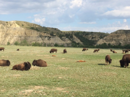 Kuzey Dakota Seyahati: Görülmesi Gereken Yerler