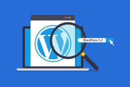 WordPress 5.3 Sürümü: Yenilikler ve Özellikler