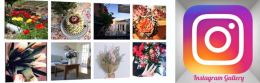 Instagram Eklentisi: Smash Balloon ile Fotoğraflarınızı Eklein
