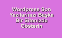 Son Yazıları WordPress’te Gösterme: İki Kolay Yöntem