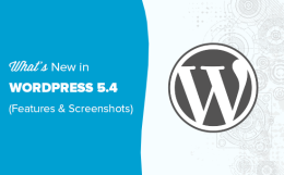 WordPress 5.4 Yenilikler: Blok Düzenleyici ve Daha Fazlası
