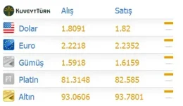 Döviz Kuru Eklentisi: Kolay Kullanım ve Özellikler
