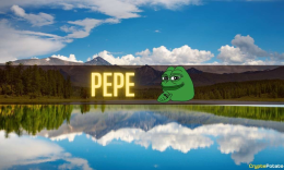 Pepe Coin Paribu Yorumları: 2023’te Neler Bekleniyor?