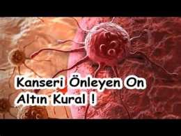 Yasaklanmış İçecekler: Alkol ve Toplum Üzerindeki Etkileri