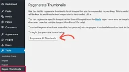 WordPress Küçük Resimleri Yeniden Boyutlandırma Rehberi